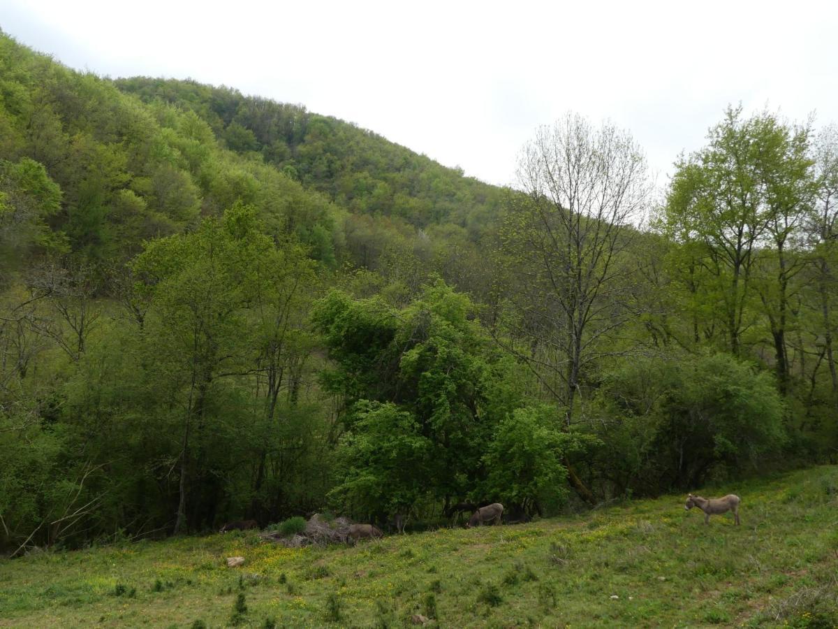 Source Nature Mas-d'Azil Buitenkant foto