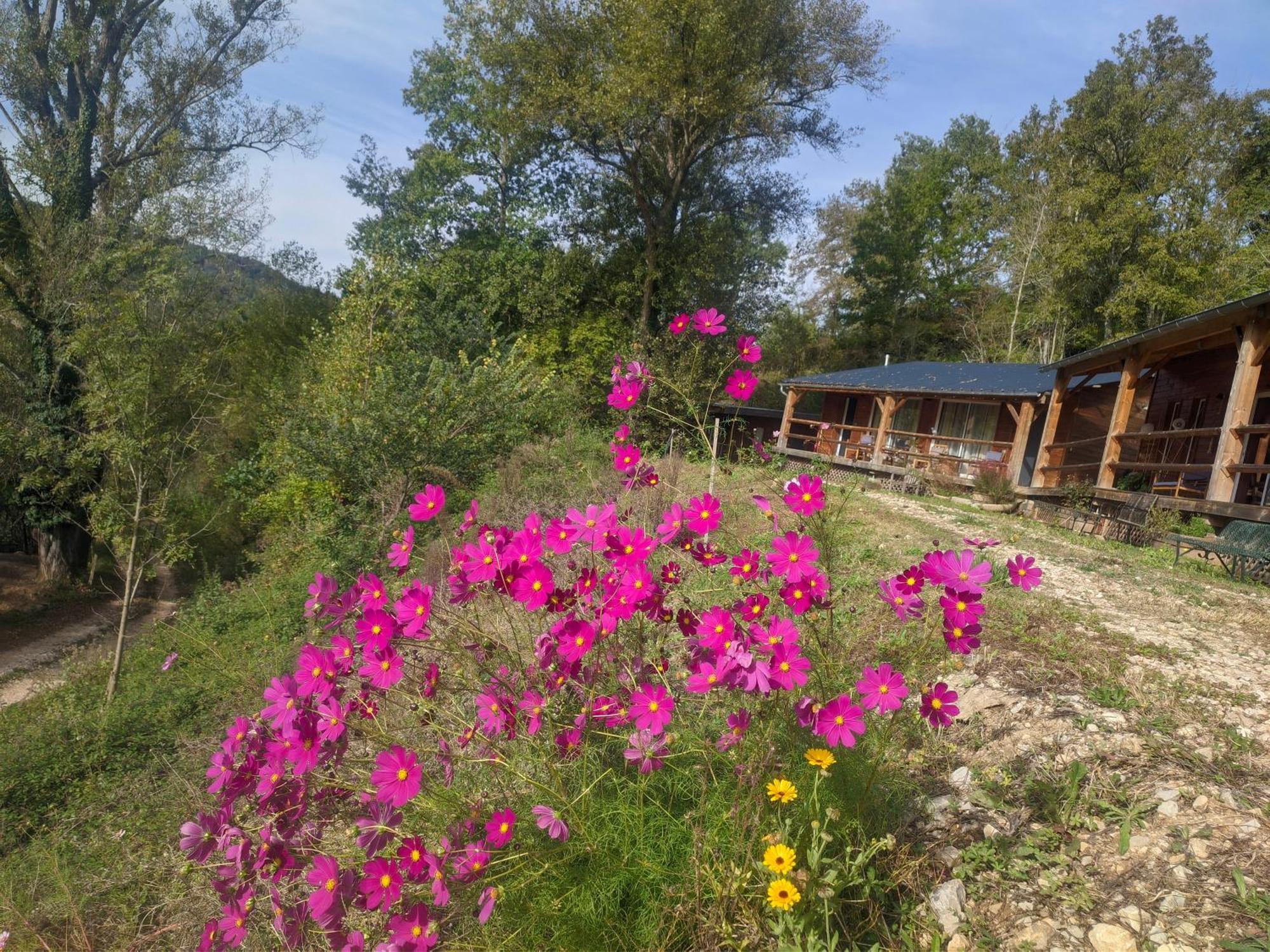 Source Nature Mas-d'Azil Kamer foto